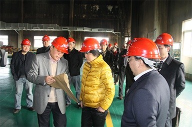 2012年1月31日，时任黄冈市委书记鲁俊携带市发改委等市级部门掌管人到公司调研