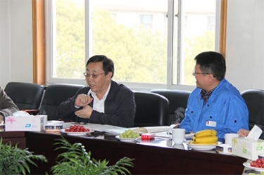 2013年3月18日，时任国度工信部节能司副司长杨铁生一行莅临公司参观领导