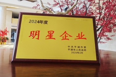 新春新景新形象 | 亚投娱乐纸业在平湖三干大会上喜摘荣誉！