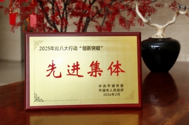 策马扬鞭启新程！亚投娱乐纸业在平湖市三级干部大会上荣获“创新突破”双项荣誉